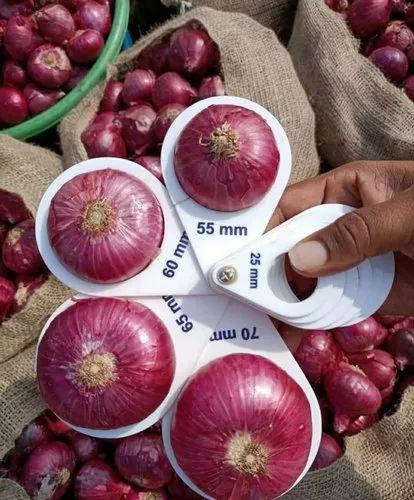 WhatsApp Image 2025-06-03 at 7.24.24 PM.jpeg